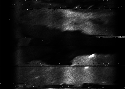 ascat_grayscale_ch2.png